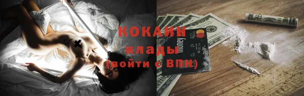 МДПВ Менделеевск